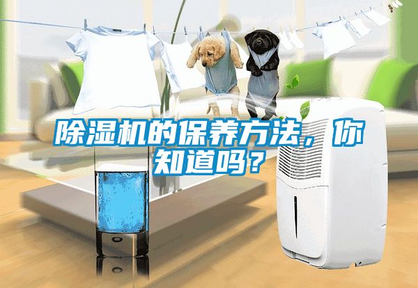 除濕機的保養方法，你知道嗎？
