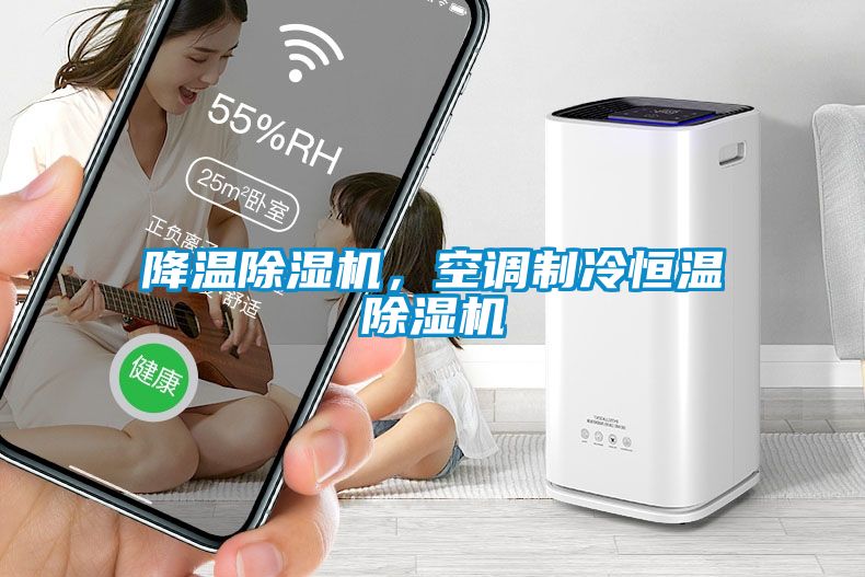 降溫除濕機，空調制冷恒溫除濕機