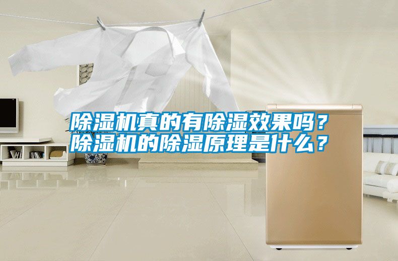 除濕機真的有除濕效果嗎？除濕機的除濕原理是什么？