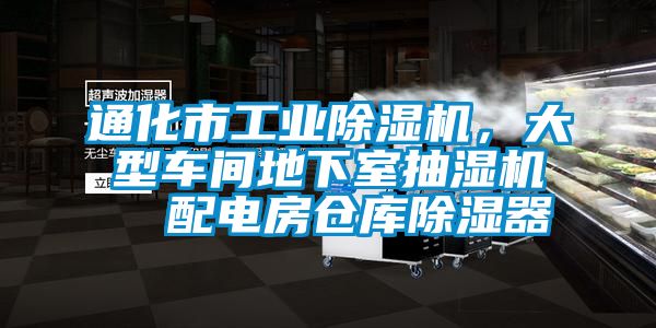 通化市工業(yè)除濕機(jī)，大型車(chē)間地下室抽濕機(jī)  配電房倉(cāng)庫(kù)除濕器
