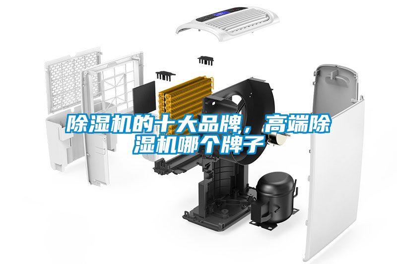 除濕機(jī)的十大品牌，高端除濕機(jī)哪個(gè)牌子