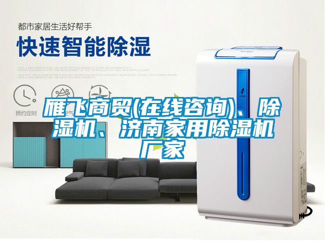 雁飛商貿(mào)(在線咨詢)、除濕機(jī)、濟(jì)南家用除濕機(jī)廠家
