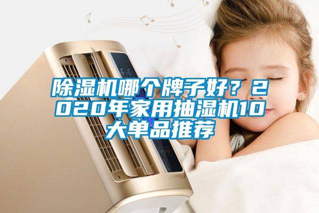 除濕機哪個牌子好？2020年家用抽濕機10大單品推薦