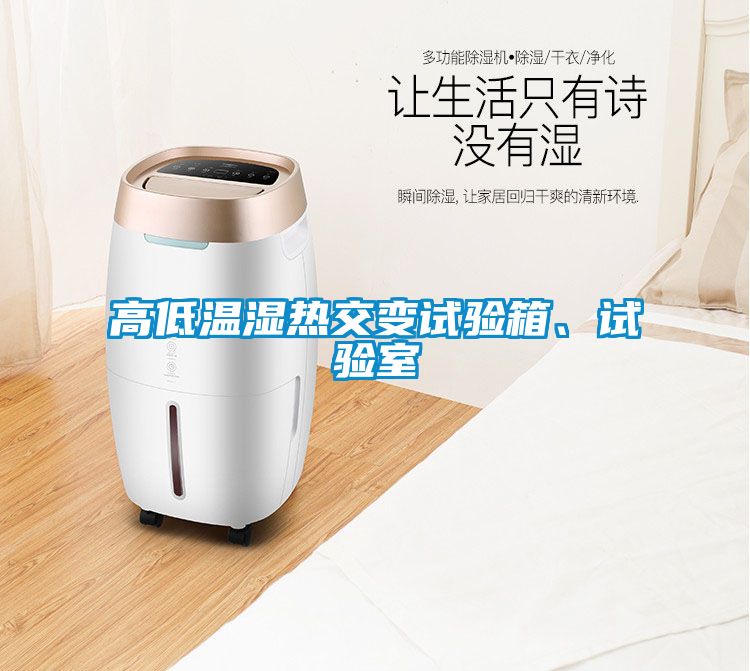 高低溫濕熱交變試驗(yàn)箱、試驗(yàn)室