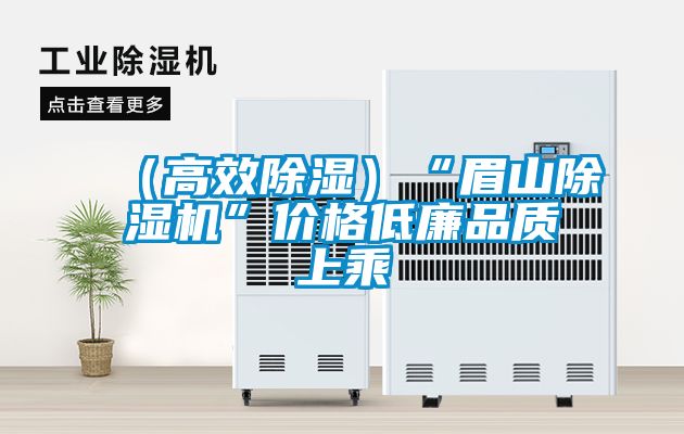 （高效除濕）“眉山除濕機(jī)”價格低廉品質(zhì)上乘
